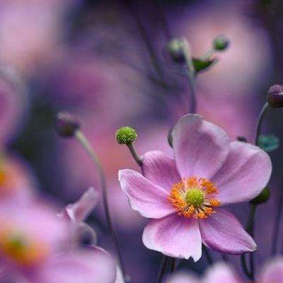 幸运28手机app下载