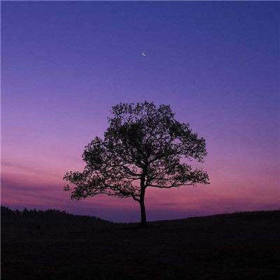 博鱼网页版官网登录